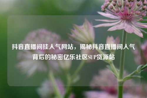 抖音直播间挂人气网站，揭秘抖音直播间人气背后的秘密亿乐社区SUP货源站  第1张