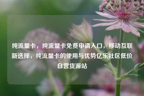 纯流量卡，纯流量卡免费申请入口，移动互联新选择	，纯流量卡的使用与优势亿乐社区低价自营货源站  第1张