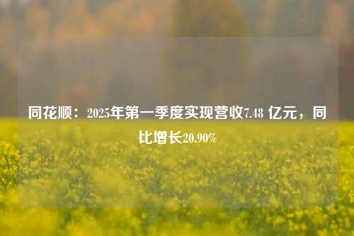 同花顺：2025年第一季度实现营收7.48 亿元，同比增长20.90%  第1张