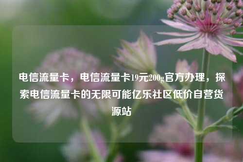 电信流量卡	，电信流量卡19元200g官方办理，探索电信流量卡的无限可能亿乐社区低价自营货源站  第1张