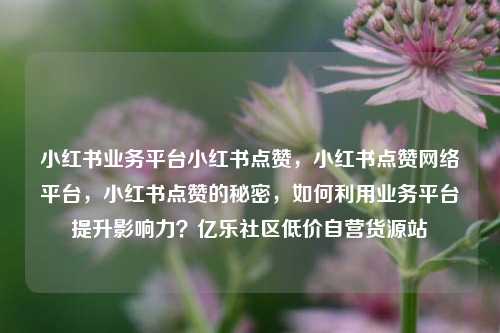 小红书业务平台小红书点赞，小红书点赞网络平台	，小红书点赞的秘密，如何利用业务平台提升影响力？亿乐社区低价自营货源站  第1张