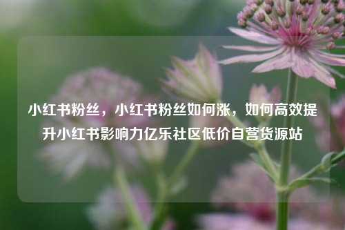 小红书粉丝，小红书粉丝如何涨，如何高效提升小红书影响力亿乐社区低价自营货源站  第1张