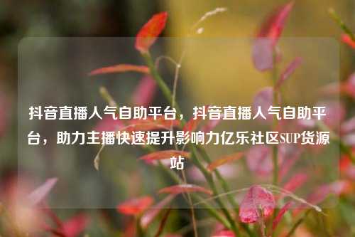 抖音直播人气自助平台，抖音直播人气自助平台	，助力主播快速提升影响力亿乐社区SUP货源站  第1张
