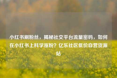小红书刷粉丝	，揭秘社交平台流量密码，如何在小红书上科学涨粉？亿乐社区低价自营货源站  第1张