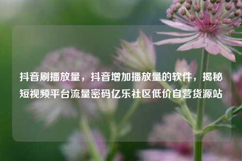 抖音刷播放量，抖音增加播放量的软件	，揭秘短视频平台流量密码亿乐社区低价自营货源站  第1张