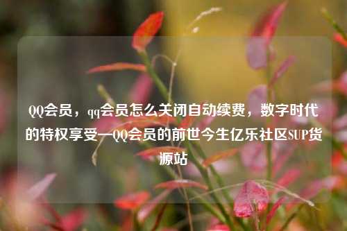 QQ会员，qq会员怎么关闭自动续费，数字时代的特权享受—QQ会员的前世今生亿乐社区SUP货源站  第1张