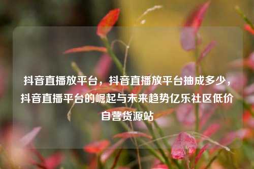 抖音直播放平台，抖音直播放平台抽成多少	，抖音直播平台的崛起与未来趋势亿乐社区低价自营货源站  第1张
