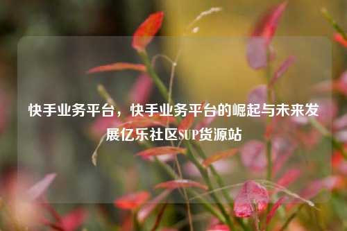 快手业务平台，快手业务平台的崛起与未来发展亿乐社区SUP货源站  第1张
