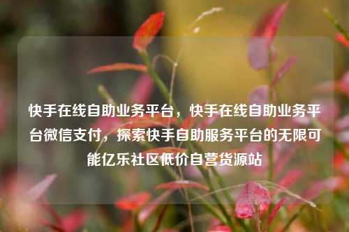 快手在线自助业务平台	，快手在线自助业务平台微信支付，探索快手自助服务平台的无限可能亿乐社区低价自营货源站  第1张