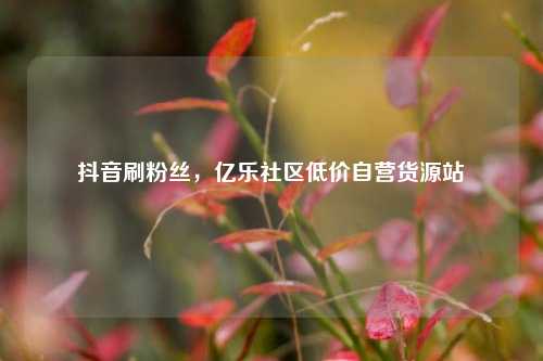 抖音刷粉丝，亿乐社区低价自营货源站  第1张