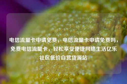 电信流量卡申请免费	，电信流量卡申请免费吗，免费电信流量卡，轻松享受便捷网络生活亿乐社区低价自营货源站  第1张