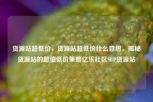 货源站超低价，货源站超低价什么意思，揭秘货源站的超值低价策略亿乐社区SUP货源站  第1张