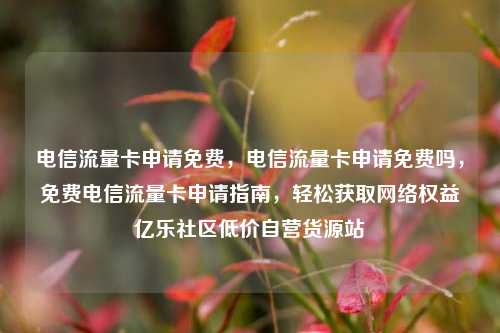 电信流量卡申请免费，电信流量卡申请免费吗，免费电信流量卡申请指南	，轻松获取网络权益亿乐社区低价自营货源站  第1张