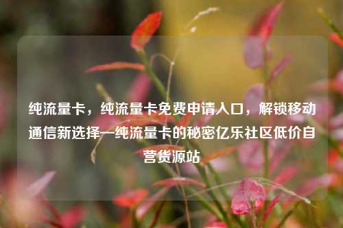 纯流量卡，纯流量卡免费申请入口，解锁移动通信新选择—纯流量卡的秘密亿乐社区低价自营货源站  第1张