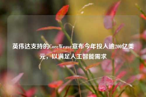 英伟达支持的CoreWeave宣布今年投入逾200亿美元	，以满足人工智能需求  第1张
