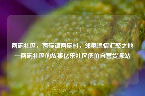 两碗社区	，两碗镇两碗村，邻里温情汇聚之地—两碗社区的故事亿乐社区低价自营货源站  第1张