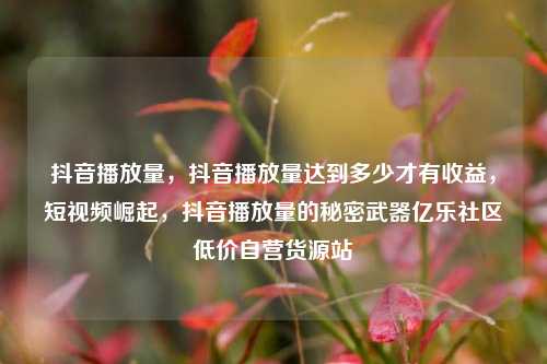 抖音播放量，抖音播放量达到多少才有收益，短视频崛起	，抖音播放量的秘密武器亿乐社区低价自营货源站  第1张