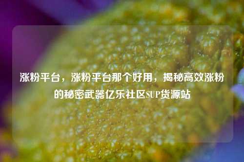 涨粉平台，涨粉平台那个好用	，揭秘高效涨粉的秘密武器亿乐社区SUP货源站  第1张