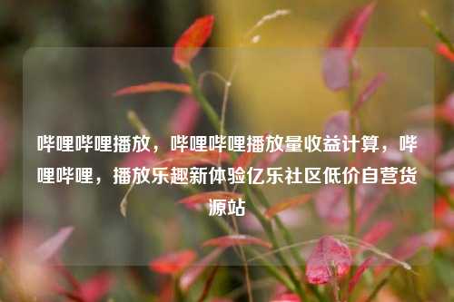哔哩哔哩播放，哔哩哔哩播放量收益计算，哔哩哔哩	，播放乐趣新体验亿乐社区低价自营货源站  第1张