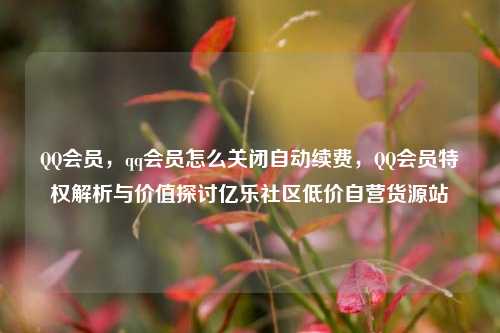 QQ会员	，qq会员怎么关闭自动续费，QQ会员特权解析与价值探讨亿乐社区低价自营货源站  第1张