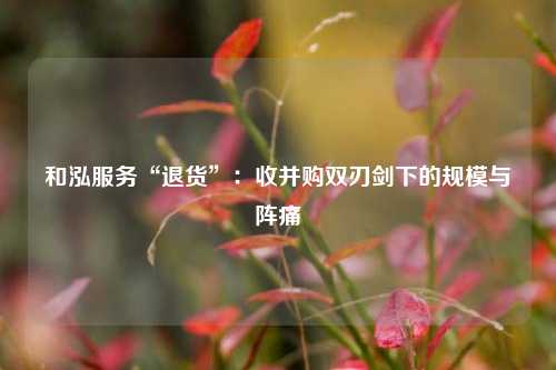 和泓服务“退货”：收并购双刃剑下的规模与阵痛  第1张