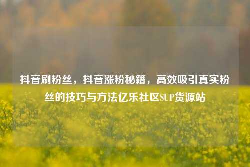 抖音刷粉丝	，抖音涨粉秘籍，高效吸引真实粉丝的技巧与方法亿乐社区SUP货源站  第1张