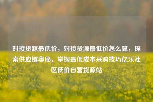 对接货源最低价，对接货源最低价怎么算	，探索供应链奥秘，掌握最低成本采购技巧亿乐社区低价自营货源站  第1张