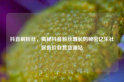 抖音刷粉丝，揭秘抖音粉丝增长的秘密亿乐社区低价自营货源站  第1张