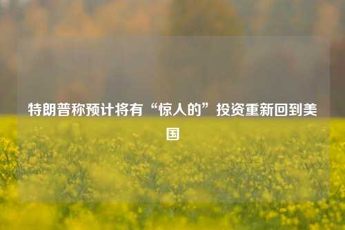 特朗普称预计将有“惊人的”投资重新回到美国  第1张