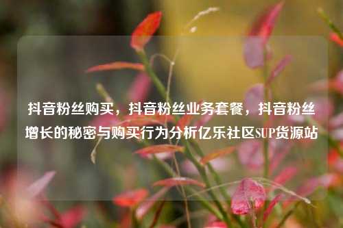 抖音粉丝购买，抖音粉丝业务套餐，抖音粉丝增长的秘密与购买行为分析亿乐社区SUP货源站  第1张