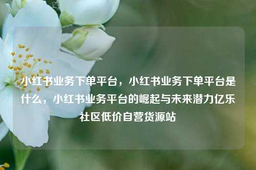 小红书业务下单平台，小红书业务下单平台是什么	，小红书业务平台的崛起与未来潜力亿乐社区低价自营货源站  第1张