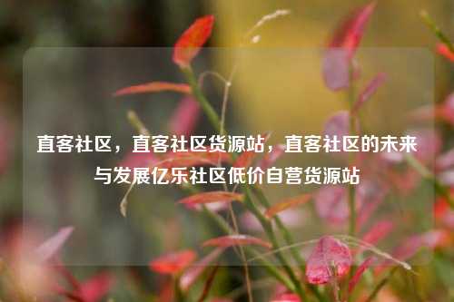 直客社区，直客社区货源站，直客社区的未来与发展亿乐社区低价自营货源站  第1张