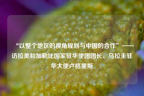 “以整个地区的视角规划与中国的合作”——访拉美和加勒比国家驻华使团团长、乌拉圭驻华大使卢格里斯  第1张