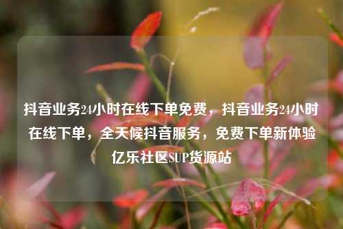 抖音业务24小时在线下单免费	，抖音业务24小时在线下单，全天候抖音服务，免费下单新体验亿乐社区SUP货源站  第1张