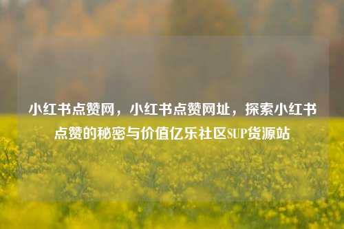 小红书点赞网，小红书点赞网址，探索小红书点赞的秘密与价值亿乐社区SUP货源站  第1张