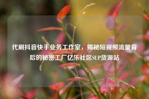 代刷抖音快手业务工作室	，揭秘短视频流量背后的秘密工厂亿乐社区SUP货源站  第1张