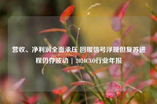 营收、净利润全面承压 回暖信号浮现但复苏进程仍存波动 | 2024CXO行业年报  第1张