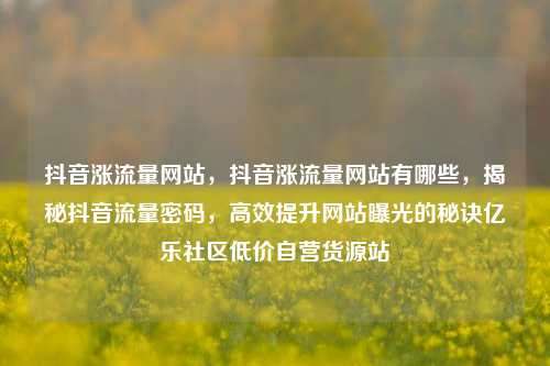 抖音涨流量网站，抖音涨流量网站有哪些	，揭秘抖音流量密码，高效提升网站曝光的秘诀亿乐社区低价自营货源站  第1张