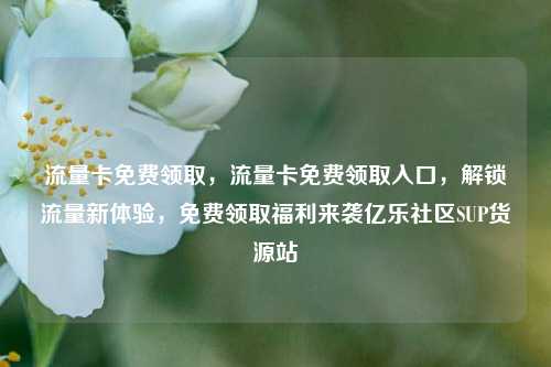 流量卡免费领取，流量卡免费领取入口	，解锁流量新体验，免费领取福利来袭亿乐社区SUP货源站  第1张
