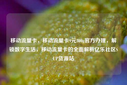 移动流量卡，移动流量卡9元300g官方办理，解锁数字生活	，移动流量卡的全面解析亿乐社区SUP货源站  第1张