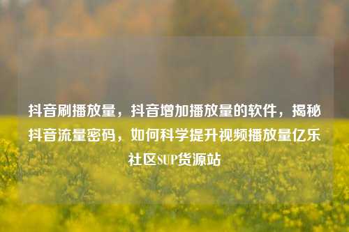 抖音刷播放量	，抖音增加播放量的软件，揭秘抖音流量密码，如何科学提升视频播放量亿乐社区SUP货源站  第1张