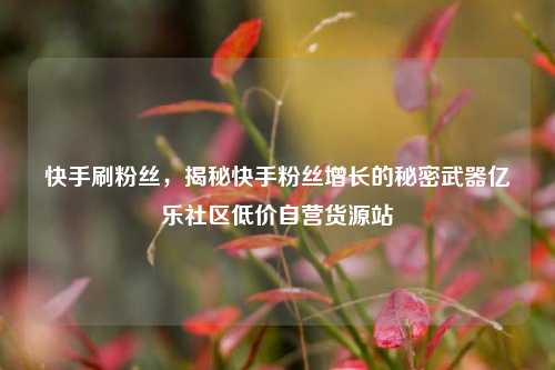 快手刷粉丝，揭秘快手粉丝增长的秘密武器亿乐社区低价自营货源站  第1张