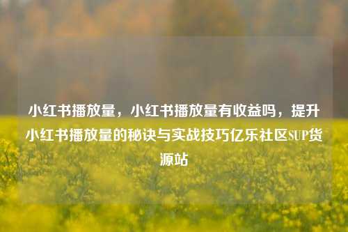 小红书播放量，小红书播放量有收益吗	，提升小红书播放量的秘诀与实战技巧亿乐社区SUP货源站  第1张