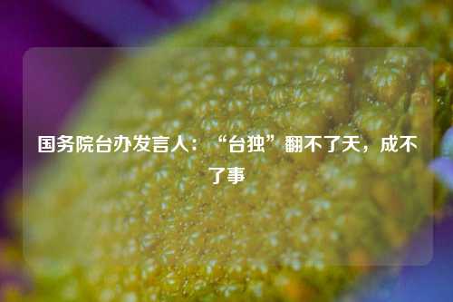 国务院台办发言人：“台独”翻不了天	，成不了事  第1张