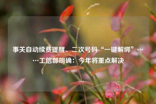 事关自动续费提醒、二次号码“一键解绑	”……工信部明确：今年将重点解决  第1张