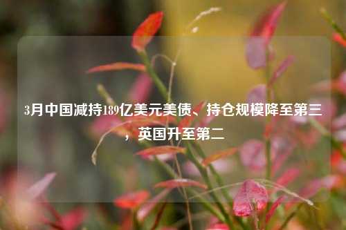 3月中国减持189亿美元美债、持仓规模降至第三，英国升至第二  第1张