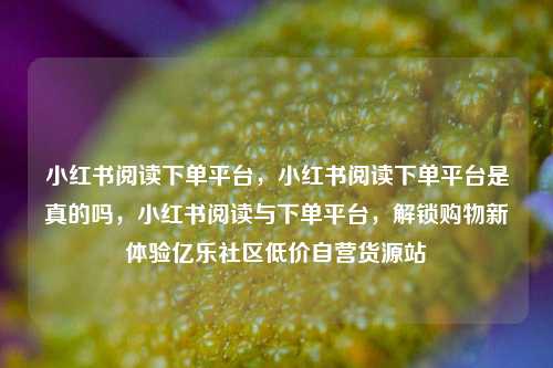 小红书阅读下单平台，小红书阅读下单平台是真的吗，小红书阅读与下单平台	，解锁购物新体验亿乐社区低价自营货源站  第1张