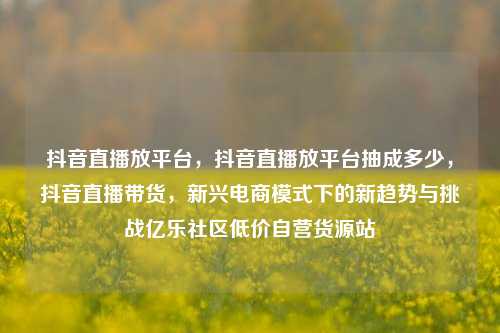 抖音直播放平台	，抖音直播放平台抽成多少，抖音直播带货，新兴电商模式下的新趋势与挑战亿乐社区低价自营货源站  第1张