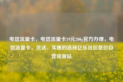 电信流量卡，电信流量卡19元200g官方办理，电信流量卡	，灵活	、实惠的选择亿乐社区低价自营货源站  第1张