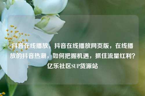 抖音在线播放	，抖音在线播放网页版，在线播放的抖音热潮，如何把握机遇	，抓住流量红利？亿乐社区SUP货源站  第1张